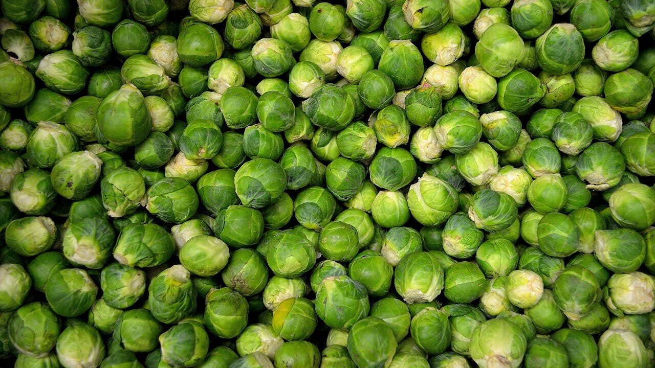 brussel sprouts
